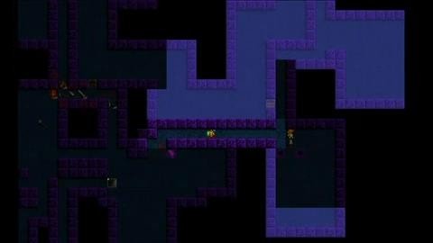 Roguelike Dungeon Crawler is a genre of video games