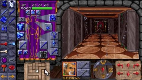 Dungeon Hack: Gameplay. Dungeon Hack